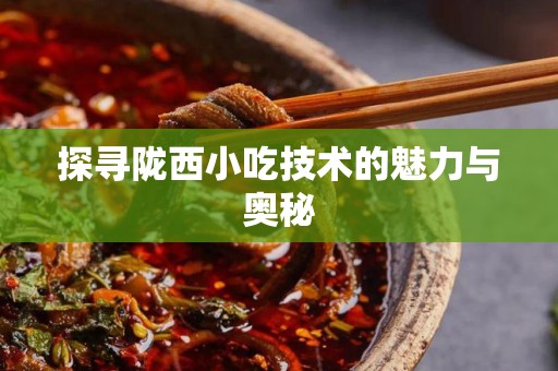 探寻陇西小吃技术的魅力与奥秘