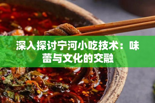 深入探讨宁河小吃技术：味蕾与文化的交融