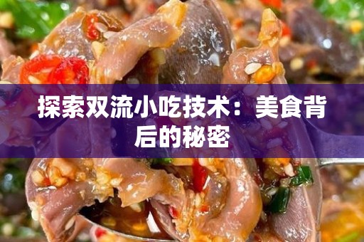 探索双流小吃技术：美食背后的秘密