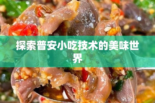 探索普安小吃技术的美味世界