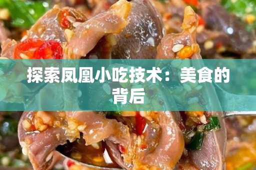 探索凤凰小吃技术：美食的背后