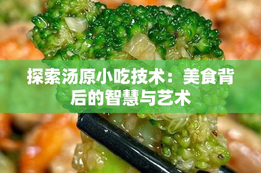 探索汤原小吃技术：美食背后的智慧与艺术
