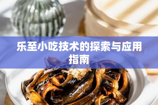 乐至小吃技术的探索与应用指南