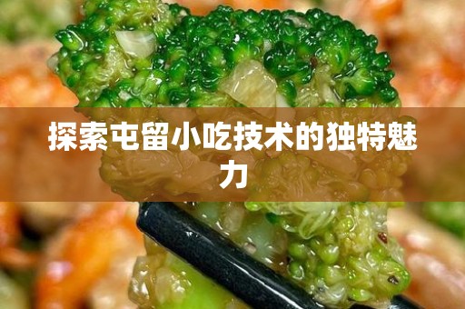 探索屯留小吃技术的独特魅力