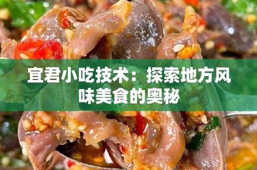 宜君小吃技术：探索地方风味美食的奥秘
