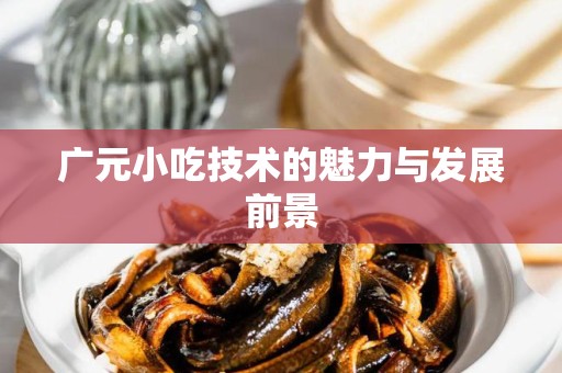 广元小吃技术的魅力与发展前景