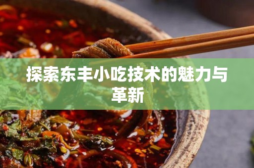 探索东丰小吃技术的魅力与革新