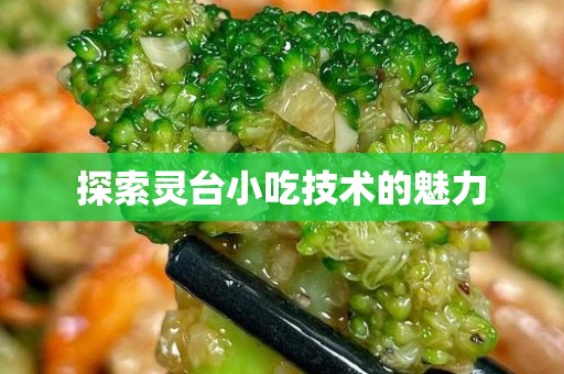 探索灵台小吃技术的魅力