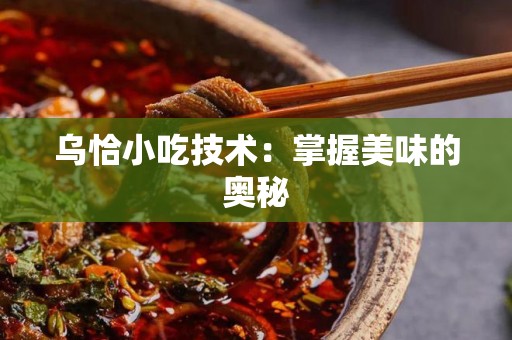 乌恰小吃技术：掌握美味的奥秘