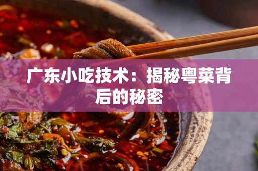 广东小吃技术：揭秘粤菜背后的秘密