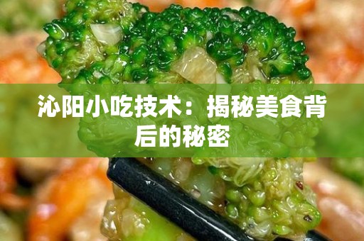 沁阳小吃技术：揭秘美食背后的秘密