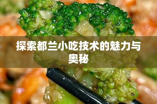 探索都兰小吃技术的魅力与奥秘