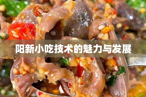 阳新小吃技术的魅力与发展