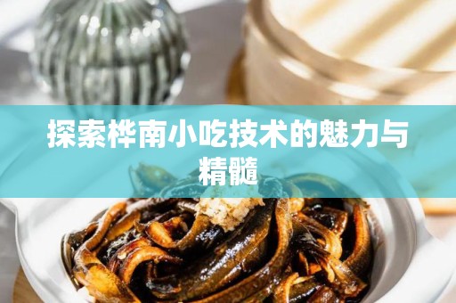 探索桦南小吃技术的魅力与精髓