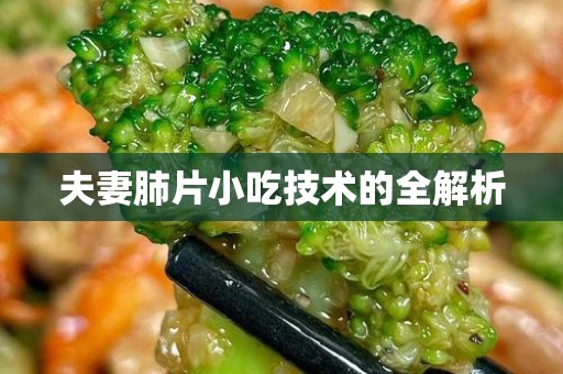夫妻肺片小吃技术的全解析