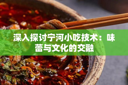 深入探讨宁河小吃技术：味蕾与文化的交融