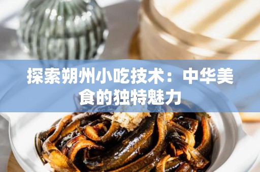 探索朔州小吃技术：中华美食的独特魅力