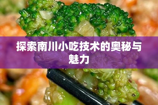 探索南川小吃技术的奥秘与魅力