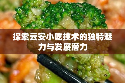 探索云安小吃技术的独特魅力与发展潜力