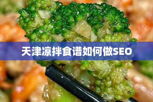 天津凉拌食谱如何做SEO