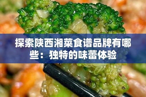 探索陕西湘菜食谱品牌有哪些：独特的味蕾体验