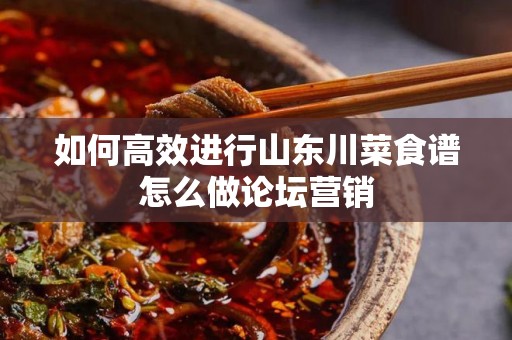 如何高效进行山东川菜食谱怎么做论坛营销