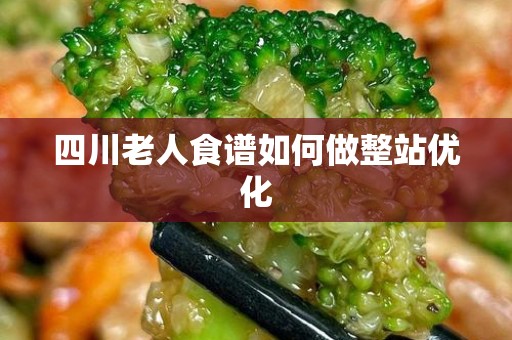 四川老人食谱如何做整站优化