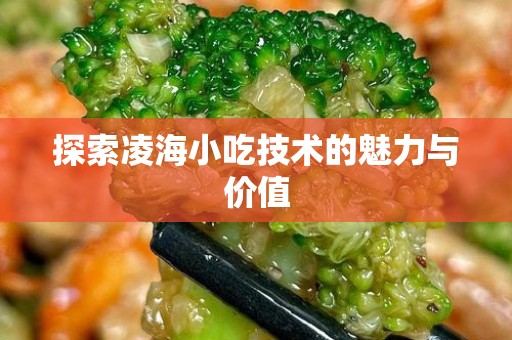 探索凌海小吃技术的魅力与价值