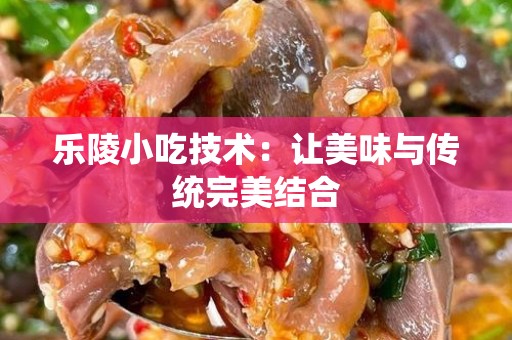 乐陵小吃技术：让美味与传统完美结合