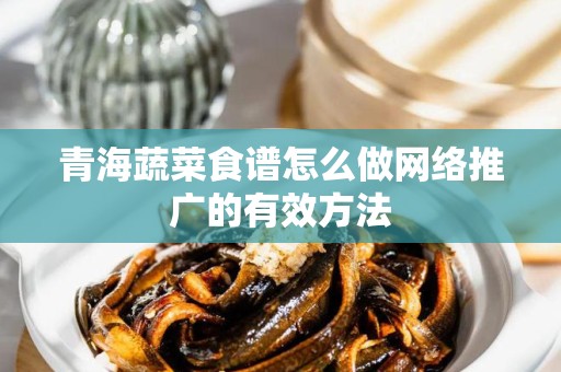 青海蔬菜食谱怎么做网络推广的有效方法