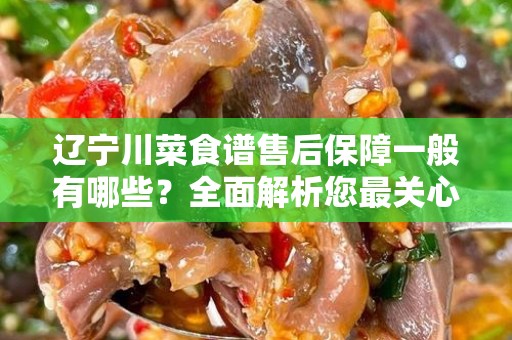 辽宁川菜食谱售后保障一般有哪些？全面解析您最关心的问题