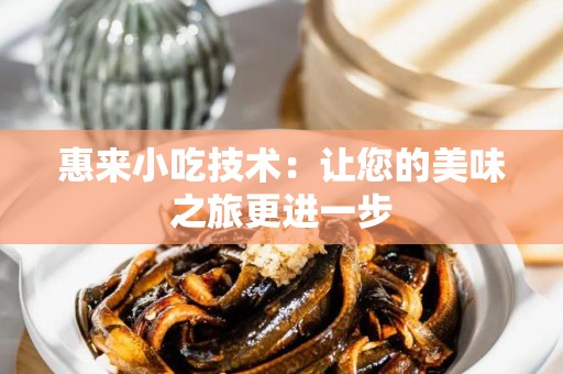 惠来小吃技术：让您的美味之旅更进一步