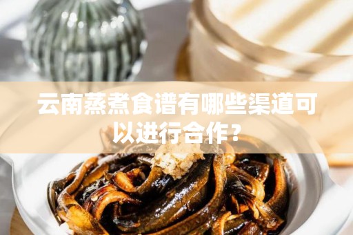 云南蒸煮食谱有哪些渠道可以进行合作？