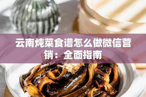 云南炖菜食谱怎么做微信营销：全面指南