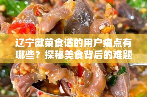 辽宁徽菜食谱的用户痛点有哪些？探秘美食背后的难题与解决方案