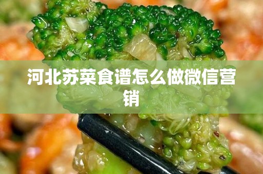 河北苏菜食谱怎么做微信营销