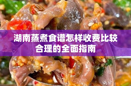 湖南蒸煮食谱怎样收费比较合理的全面指南