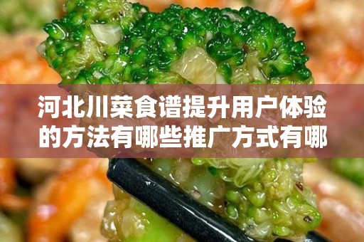 河北川菜食谱提升用户体验的方法有哪些推广方式有哪些
