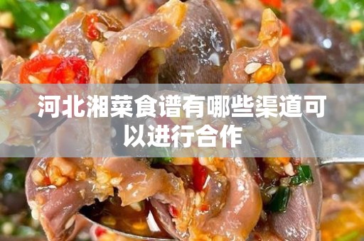 河北湘菜食谱有哪些渠道可以进行合作