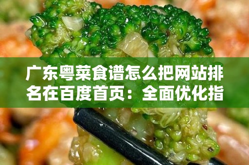 广东粤菜食谱怎么把网站排名在百度首页：全面优化指南