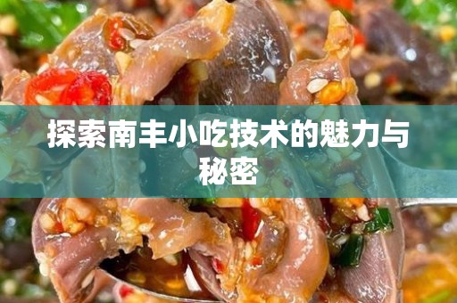 探索南丰小吃技术的魅力与秘密