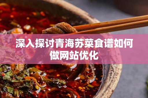 深入探讨青海苏菜食谱如何做网站优化