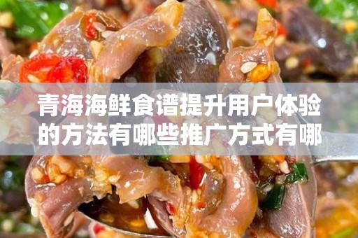 青海海鲜食谱提升用户体验的方法有哪些推广方式有哪些：探索与实践