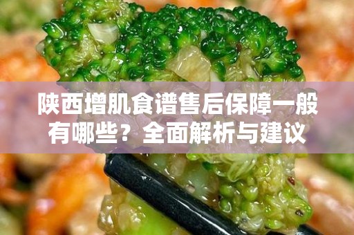 陕西增肌食谱售后保障一般有哪些？全面解析与建议