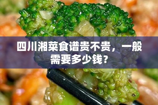 四川湘菜食谱贵不贵，一般需要多少钱？