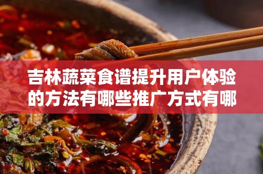 吉林蔬菜食谱提升用户体验的方法有哪些推广方式有哪些