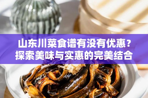 山东川菜食谱有没有优惠？探索美味与实惠的完美结合