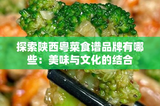 探索陕西粤菜食谱品牌有哪些：美味与文化的结合