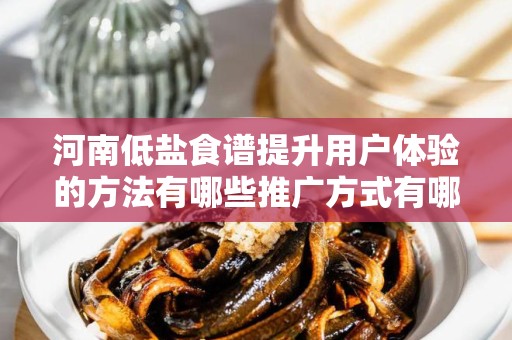 河南低盐食谱提升用户体验的方法有哪些推广方式有哪些