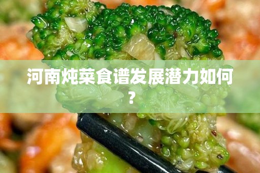 河南炖菜食谱发展潜力如何？